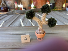 Load image into Gallery viewer, #1 Stitchin' Summer Crocheted Succulents and More - 50 Variants to Choose From!
