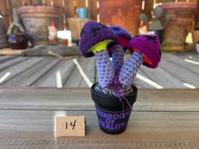 Load image into Gallery viewer, #1 Stitchin' Summer Crocheted Succulents and More - 50 Variants to Choose From!