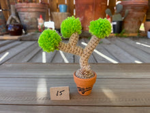 Load image into Gallery viewer, #1 Stitchin' Summer Crocheted Succulents and More - 50 Variants to Choose From!