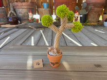 Load image into Gallery viewer, #1 Stitchin' Summer Crocheted Succulents and More - 50 Variants to Choose From!