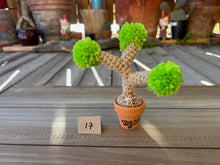 Load image into Gallery viewer, #1 Stitchin' Summer Crocheted Succulents and More - 50 Variants to Choose From!