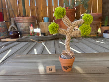 Load image into Gallery viewer, #1 Stitchin' Summer Crocheted Succulents and More - 50 Variants to Choose From!