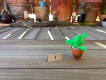 Load image into Gallery viewer, #1 Stitchin' Summer Crocheted Succulents and More - 50 Variants to Choose From!