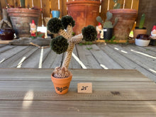 Load image into Gallery viewer, #1 Stitchin' Summer Crocheted Succulents and More - 50 Variants to Choose From!