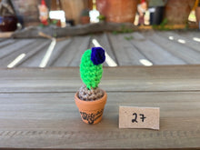 Load image into Gallery viewer, #1 Stitchin' Summer Crocheted Succulents and More - 50 Variants to Choose From!