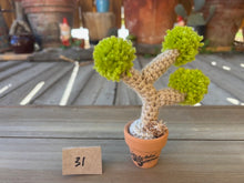 Load image into Gallery viewer, #1 Stitchin' Summer Crocheted Succulents and More - 50 Variants to Choose From!