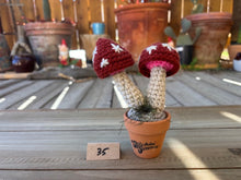 Load image into Gallery viewer, #1 Stitchin' Summer Crocheted Succulents and More - 50 Variants to Choose From!