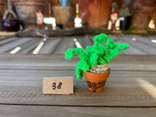 Load image into Gallery viewer, #1 Stitchin' Summer Crocheted Succulents and More - 50 Variants to Choose From!