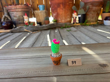Load image into Gallery viewer, #1 Stitchin' Summer Crocheted Succulents and More - 50 Variants to Choose From!
