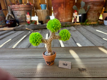 Load image into Gallery viewer, #1 Stitchin' Summer Crocheted Succulents and More - 50 Variants to Choose From!