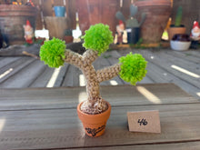 Load image into Gallery viewer, #1 Stitchin' Summer Crocheted Succulents and More - 50 Variants to Choose From!