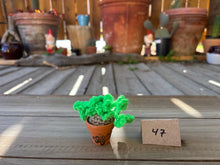 Load image into Gallery viewer, #1 Stitchin' Summer Crocheted Succulents and More - 50 Variants to Choose From!