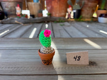Load image into Gallery viewer, #1 Stitchin' Summer Crocheted Succulents and More - 50 Variants to Choose From!