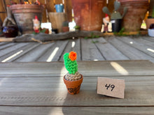 Load image into Gallery viewer, #1 Stitchin' Summer Crocheted Succulents and More - 50 Variants to Choose From!