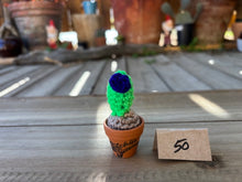 Load image into Gallery viewer, #1 Stitchin' Summer Crocheted Succulents and More - 50 Variants to Choose From!