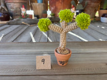 Load image into Gallery viewer, #1 Stitchin' Summer Crocheted Succulents and More - 50 Variants to Choose From!