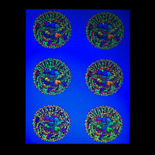 Load image into Gallery viewer, Uncut Picture Disc Sheet for The Dwarves!