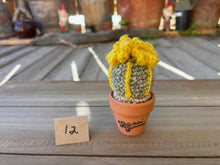 Load image into Gallery viewer, #1 Stitchin' Summer Crocheted Succulents and More - 50 Variants to Choose From!
