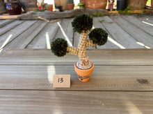 Load image into Gallery viewer, #1 Stitchin' Summer Crocheted Succulents and More - 50 Variants to Choose From!
