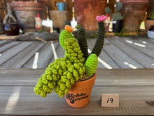 Load image into Gallery viewer, #1 Stitchin' Summer Crocheted Succulents and More - 50 Variants to Choose From!
