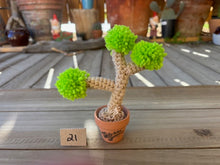 Load image into Gallery viewer, #1 Stitchin' Summer Crocheted Succulents and More - 50 Variants to Choose From!
