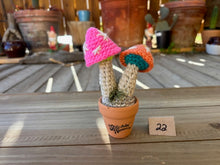 Load image into Gallery viewer, #1 Stitchin' Summer Crocheted Succulents and More - 50 Variants to Choose From!
