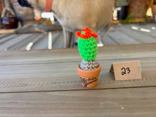 Load image into Gallery viewer, #1 Stitchin' Summer Crocheted Succulents and More - 50 Variants to Choose From!
