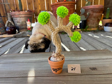 Load image into Gallery viewer, #1 Stitchin' Summer Crocheted Succulents and More - 50 Variants to Choose From!
