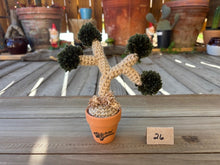 Load image into Gallery viewer, #1 Stitchin' Summer Crocheted Succulents and More - 50 Variants to Choose From!
