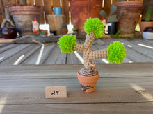 Load image into Gallery viewer, #1 Stitchin' Summer Crocheted Succulents and More - 50 Variants to Choose From!
