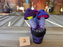 Load image into Gallery viewer, #1 Stitchin' Summer Crocheted Succulents and More - 50 Variants to Choose From!

