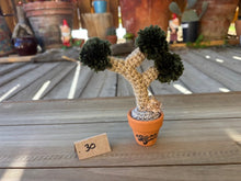 Load image into Gallery viewer, #1 Stitchin' Summer Crocheted Succulents and More - 50 Variants to Choose From!
