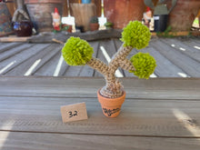 Load image into Gallery viewer, #1 Stitchin' Summer Crocheted Succulents and More - 50 Variants to Choose From!
