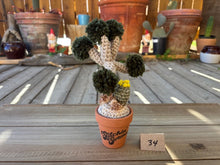 Load image into Gallery viewer, #1 Stitchin' Summer Crocheted Succulents and More - 50 Variants to Choose From!
