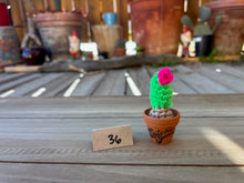Load image into Gallery viewer, #1 Stitchin' Summer Crocheted Succulents and More - 50 Variants to Choose From!
