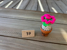 Load image into Gallery viewer, #1 Stitchin' Summer Crocheted Succulents and More - 50 Variants to Choose From!
