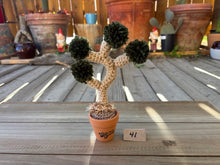 Load image into Gallery viewer, #1 Stitchin' Summer Crocheted Succulents and More - 50 Variants to Choose From!
