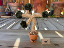 Load image into Gallery viewer, #1 Stitchin' Summer Crocheted Succulents and More - 50 Variants to Choose From!
