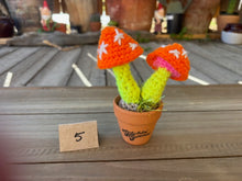 Load image into Gallery viewer, #1 Stitchin' Summer Crocheted Succulents and More - 50 Variants to Choose From!
