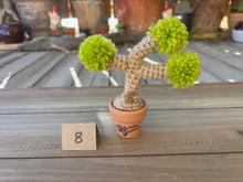 Load image into Gallery viewer, #1 Stitchin' Summer Crocheted Succulents and More - 50 Variants to Choose From!
